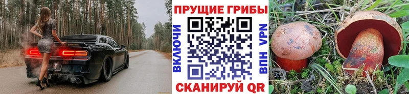Псилоцибиновые грибы прущие грибы  Иннополис 